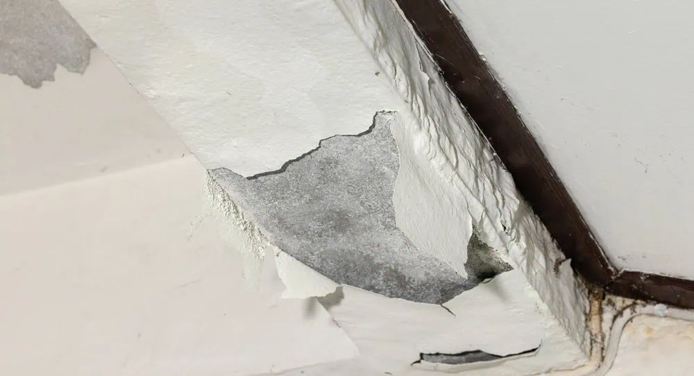 Close-up of a ceiling with peeling paint and water damage near a corner seam.